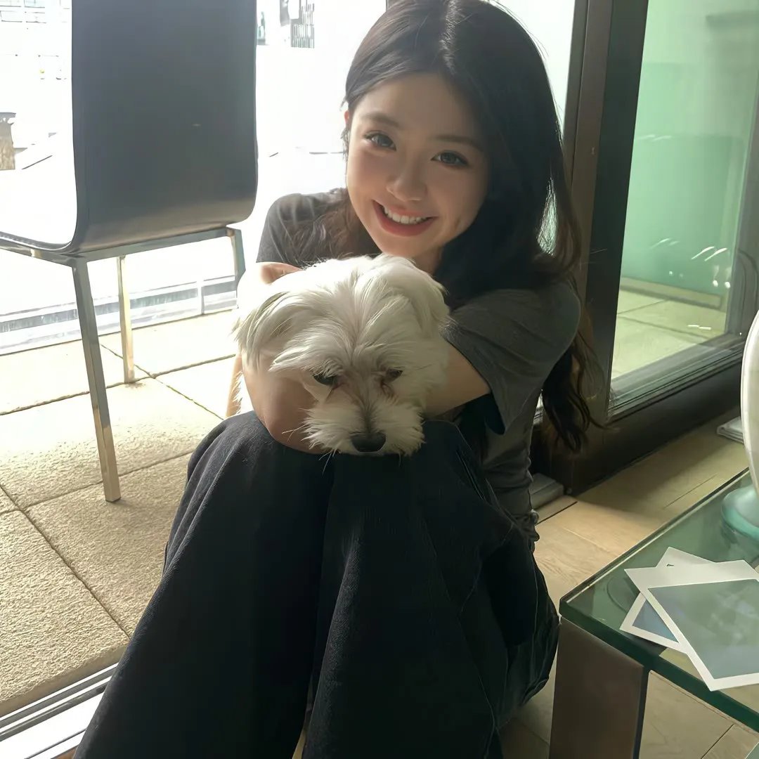 失忆迷城封面