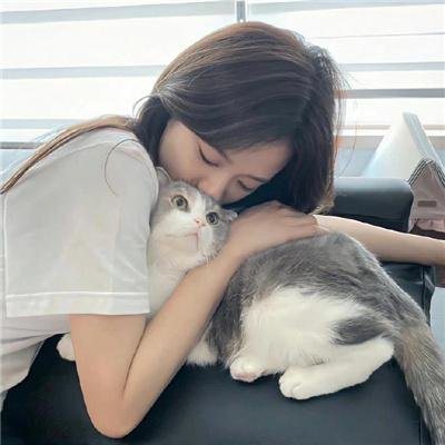 恋姬无双封面